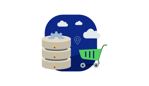Hosting sklepów internetowych